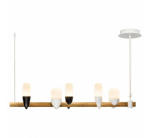 Светильник на штанге Loft it Whisper 1028-5WH