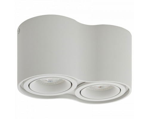 Накладной светильник Denkirs DK2001 DK2002-WH