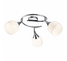 Спот Arte Lamp Trumpet A9556PL-3CC