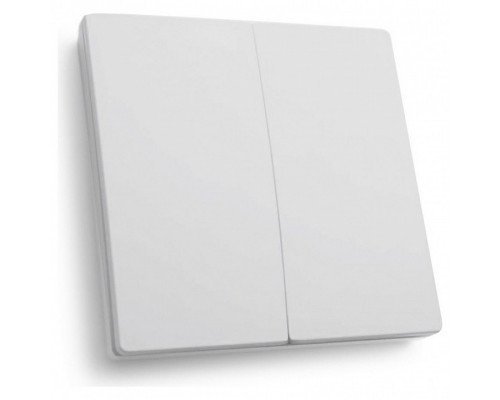 Выключатель двухклавишный без рамки Feron Saffit TM82 41129