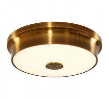 Накладной светильник Citilux Фостер-2 