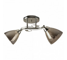 Накладной светильник Hiper Gandy H195-2