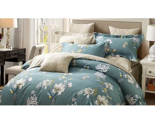 Постельное белье евростандарт RS-274