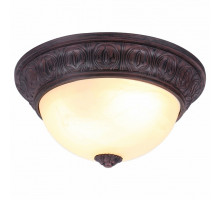 Накладной светильник Arte Lamp Piatti A8007PL-2CK