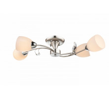Потолочная люстра Globo Singu 60215-4D