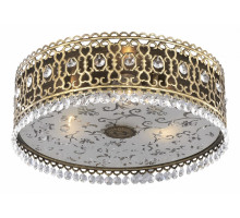 Накладной светильник Odeon Light Salona 2641/3C