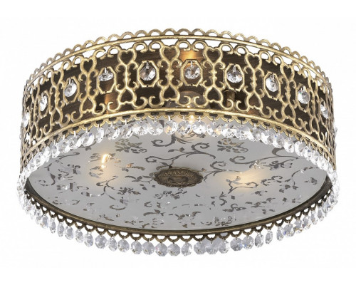 Накладной светильник Odeon Light Salona 2641/3C