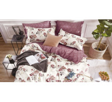 Постельное белье евростандарт CL-288