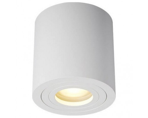 Накладной светильник Zumaline Rondip ACGU10-158