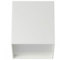 Накладной светильник Odeon Light Roxy 4232/10CL