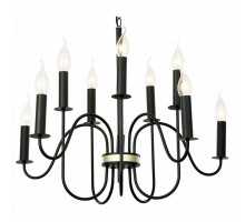 Подвесная люстра Lussole Roosevelt 