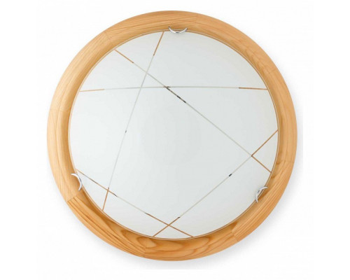 Накладной светильник TopLight Karen TL9013Y-02PN