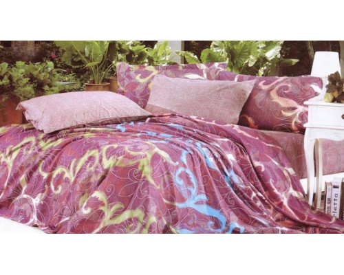 Постельное белье евростандарт C-137