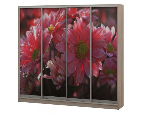 Шкаф-купе Джордано-4 2400x624x2300 мм