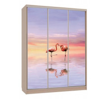 Шкаф-купе Бассо 7-600 19