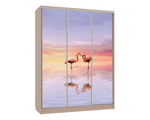 Шкаф-купе Бассо 7-600 19