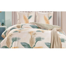 Постельное белье евростандарт CL-384