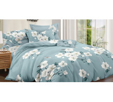 Постельное белье евростандарт Art Color 050-AC