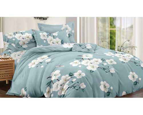 Постельное белье евростандарт Art Color 050-AC