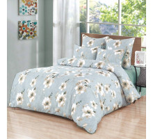 Постельное белье евростандарт Корделия