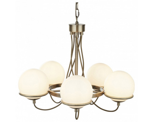Подвесная люстра Arte Lamp Bergamo A2990LM-5AB