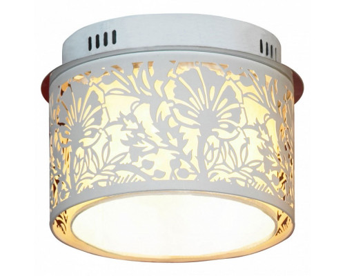 Накладной светильник Lussole Vetere