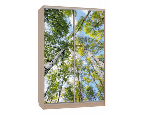 Шкаф-купе Рио 7-600 57