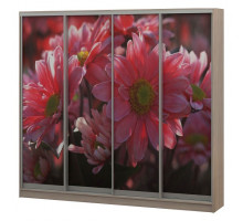 Шкаф-купе Джордано-4 2400x624x2500 мм