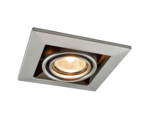 Встраиваемый светильник Arte Lamp Technika A5941PL-1SI