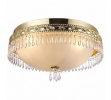 Накладной светильник Arte Lamp Cintura A6859PL-5GO