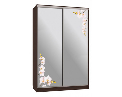 Шкаф-купе Гранд 4-600 орхидеи