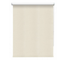 Штора рулонная (160x175 см) Эшер