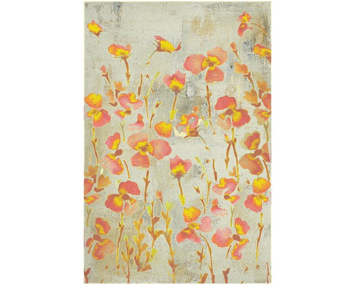 Ковер интерьерный (240x340 см) Hunnu