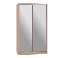 Шкаф-купе Рио 4-600