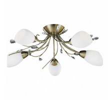 Потолочная люстра Arte Lamp Gardenia A2766PL-5AB