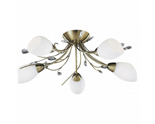 Потолочная люстра Arte Lamp Gardenia A2766PL-5AB