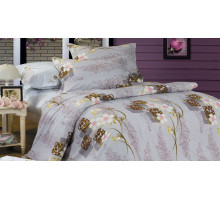 Постельное белье двуспальное B-89