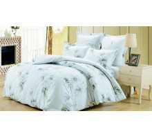 Постельное белье евростандарт Вальтери С-237