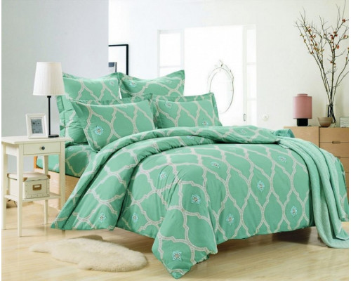 Постельное белье евростандарт C-225