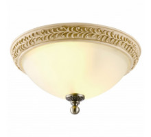 Накладной светильник Arte Lamp Ivory A9070PL-2AB