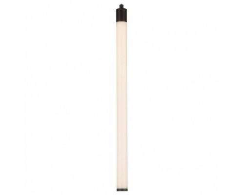 Подвесной светильник Maytoni Ray P021PL-L10B