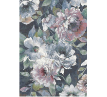 Ковер интерьерный (240x330 см) Argentum