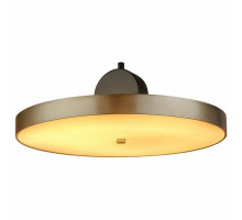 Подвесной светильник L'Arte Luce  L45904 D