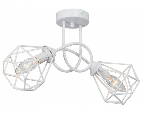 Светильник на штанге Vitaluce  V4930-0/2PL