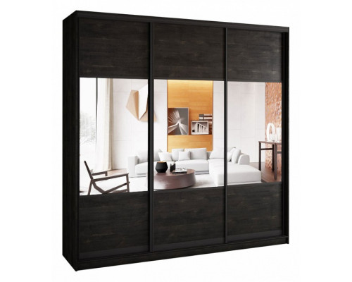 Шкаф-купе А0471494703 2500x580