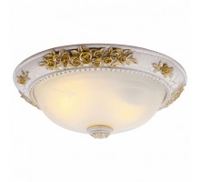 Накладной светильник Arte Lamp Torta A7102PL-2WG