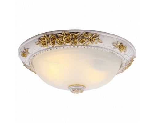 Накладной светильник Arte Lamp Torta A7102PL-2WG