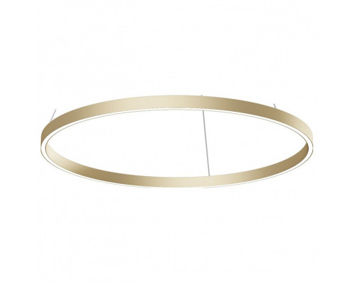 Подвесной светильник Maytoni Rim MOD058PL-L42BS4K