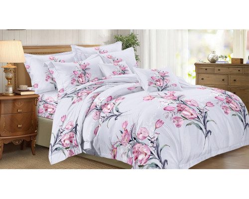 Постельное белье двуспальное Art Color 063-AC