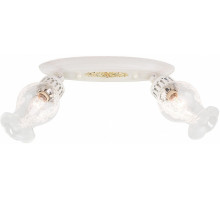 Спот Citilux Метафора 